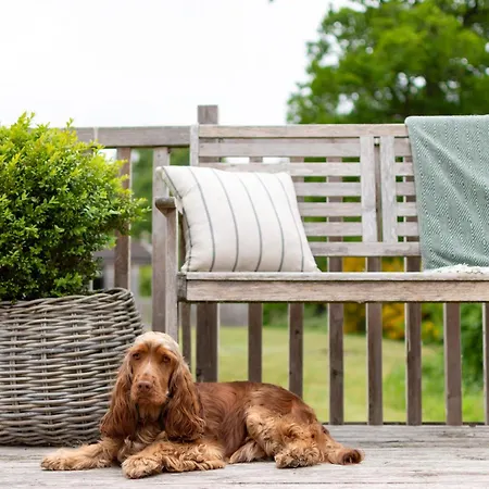 Kingfisher Riverdale * West Tanfield