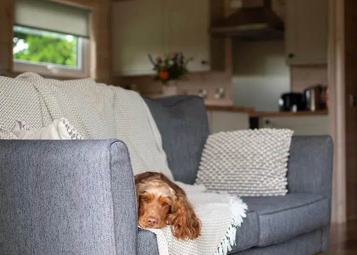 Kingfisher Riverdale *