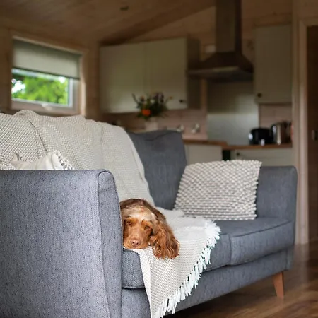 Kingfisher Riverdale *